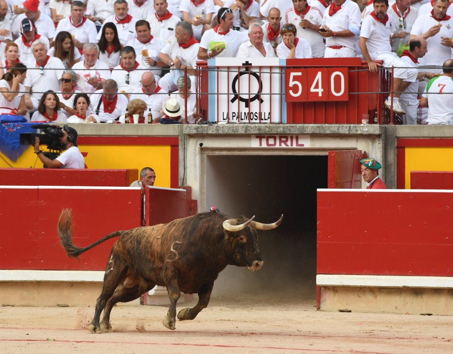 Pamplona, sábado 13 de julio de 2019