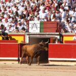 Pamplona, domingo 14 de julio de 2019