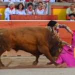 Pamplona, domingo 14 de julio de 2019