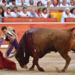 Pamplona, domingo 14 de julio de 2019