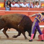 Pamplona, domingo 14 de julio de 2019
