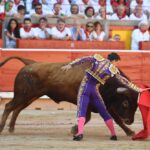 Pamplona, domingo 14 de julio de 2019