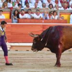 Pamplona, domingo 14 de julio de 2019
