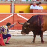 Pamplona, domingo 14 de julio de 2019