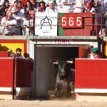 Pamplona, domingo 14 de julio de 2019