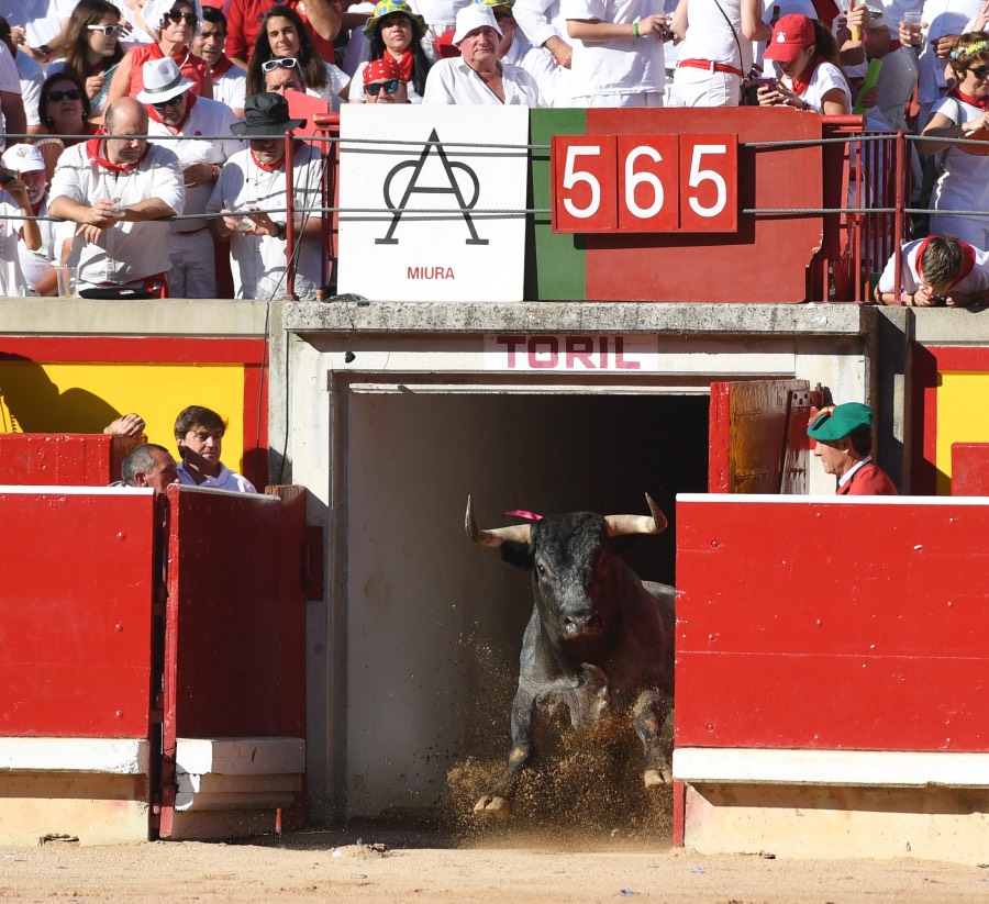 Pamplona, domingo 14 de julio de 2019