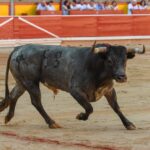 Pamplona, domingo 14 de julio de 2019