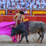 Pamplona, domingo 14 de julio de 2019