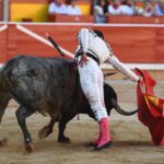 Pamplona, domingo 14 de julio de 2019