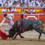 Pamplona, domingo 14 de julio de 2019