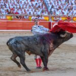 Pamplona, domingo 14 de julio de 2019