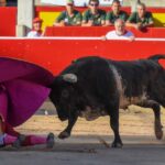 Pamplona, domingo 14 de julio de 2019