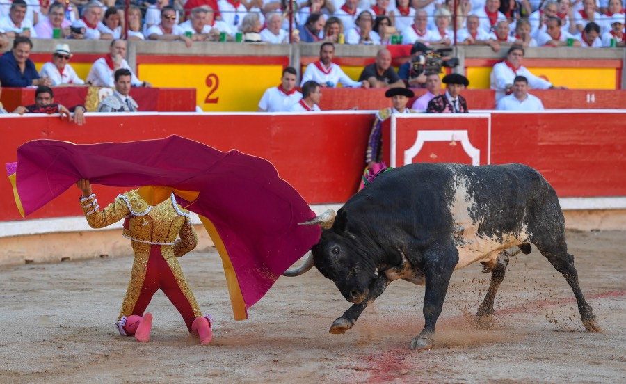 Pamplona, domingo 14 de julio de 2019