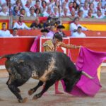 Pamplona, domingo 14 de julio de 2019