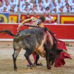 Pamplona, domingo 14 de julio de 2019