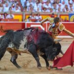 Pamplona, domingo 14 de julio de 2019