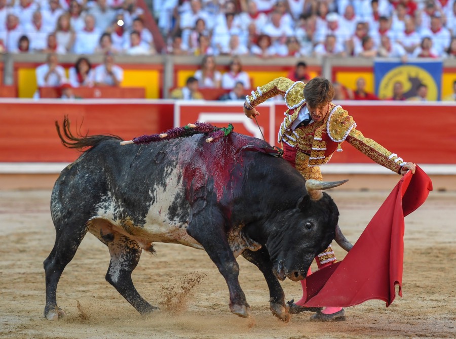 Pamplona, domingo 14 de julio de 2019
