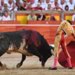 Pamplona, domingo 14 de julio de 2019