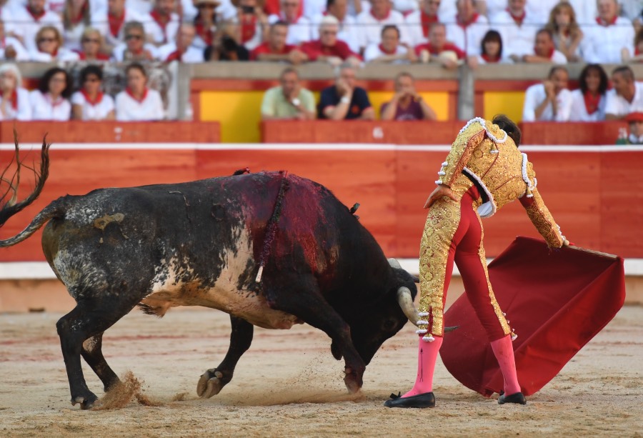 Pamplona, domingo 14 de julio de 2019