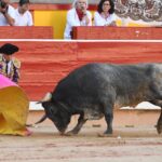 Pamplona, domingo 14 de julio de 2019