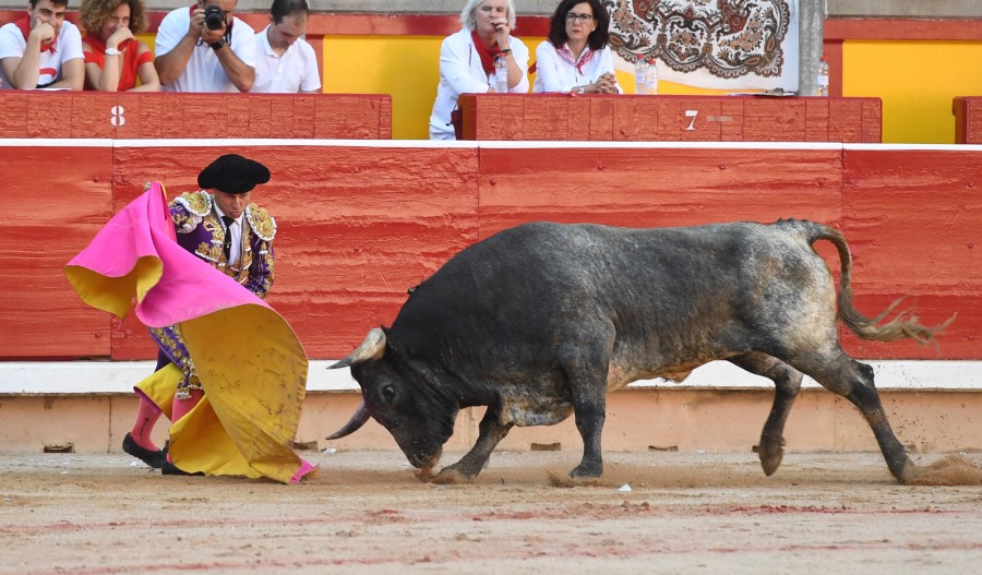 Pamplona, domingo 14 de julio de 2019
