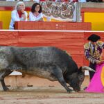 Pamplona, domingo 14 de julio de 2019