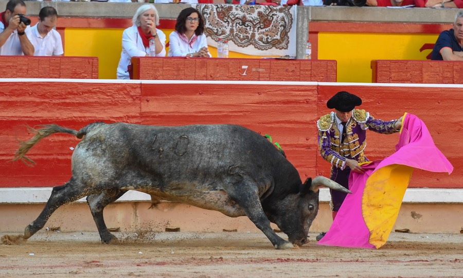 Pamplona, domingo 14 de julio de 2019