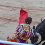 Pamplona, domingo 14 de julio de 2019