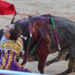 Pamplona, domingo 14 de julio de 2019