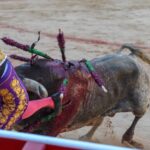 Pamplona, domingo 14 de julio de 2019