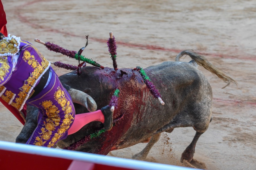 Pamplona, domingo 14 de julio de 2019