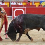 Pamplona, domingo 14 de julio de 2019