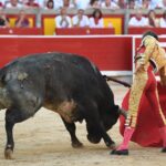 Pamplona, domingo 14 de julio de 2019