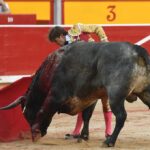 Pamplona, domingo 14 de julio de 2019