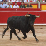 Pamplona. Jueves 11 de julio de 2019