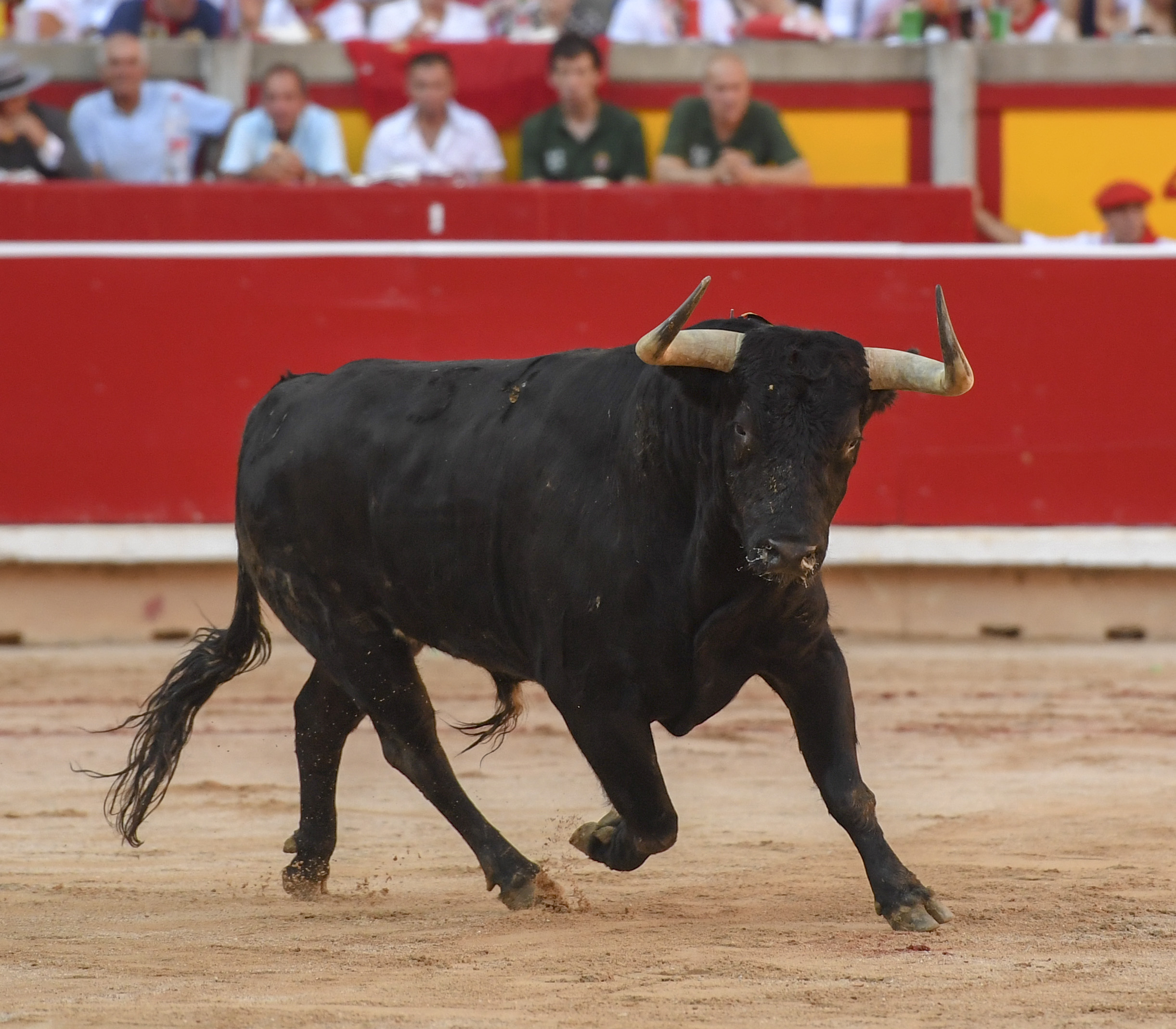 Pamplona. Jueves 11 de julio de 2019