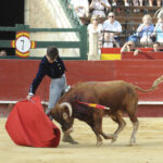 Valencia, sábado 13 de julio de 2019. I Clase práctica