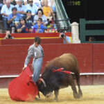Valencia, sábado 13 de julio de 2019. I Clase práctica