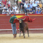 Valencia, sábado 13 de julio de 2019. I Clase práctica