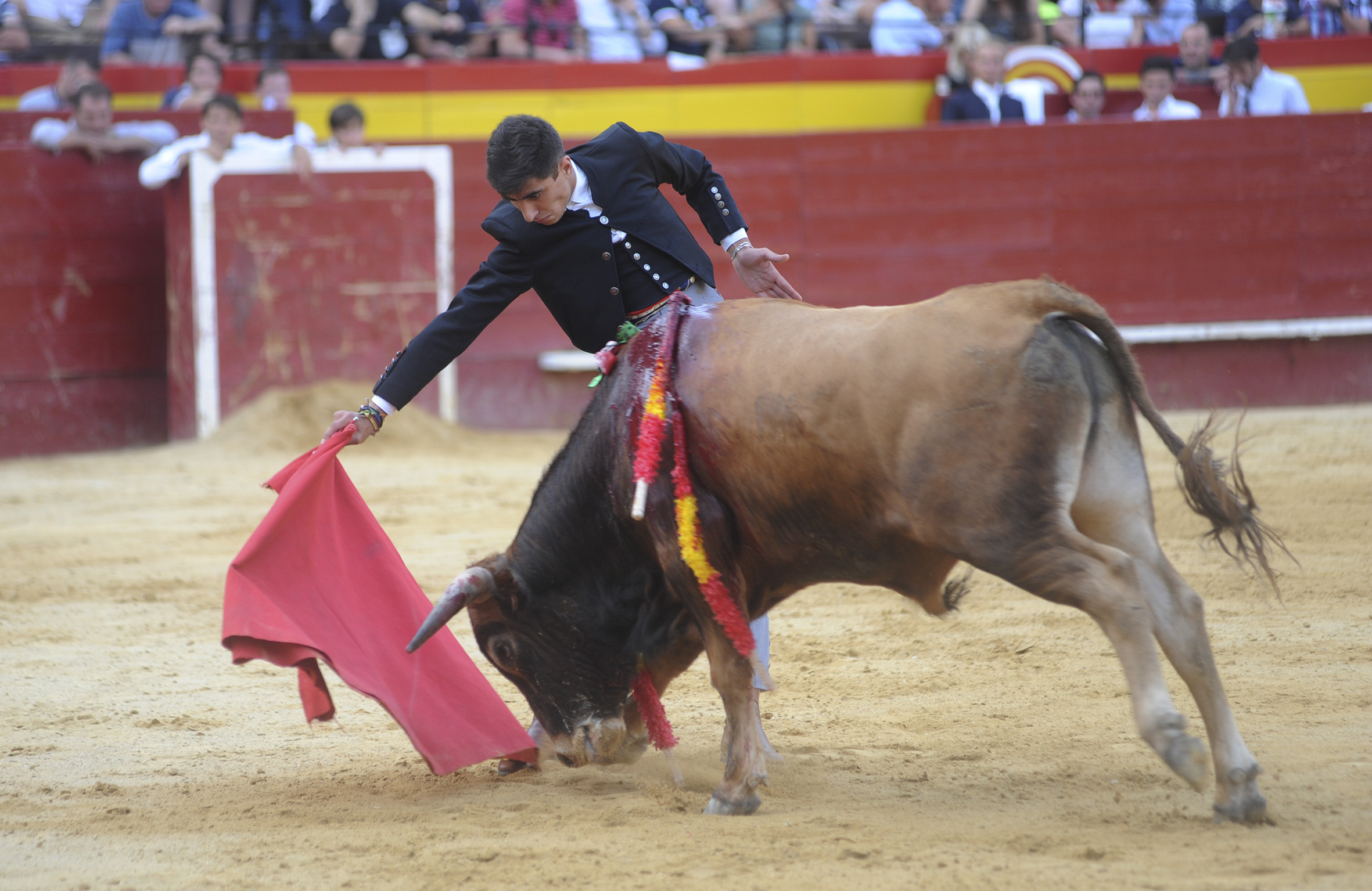 Valencia, sábado 13 de julio de 2019. I Clase práctica