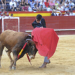 Valencia, sábado 13 de julio de 2019. I Clase práctica