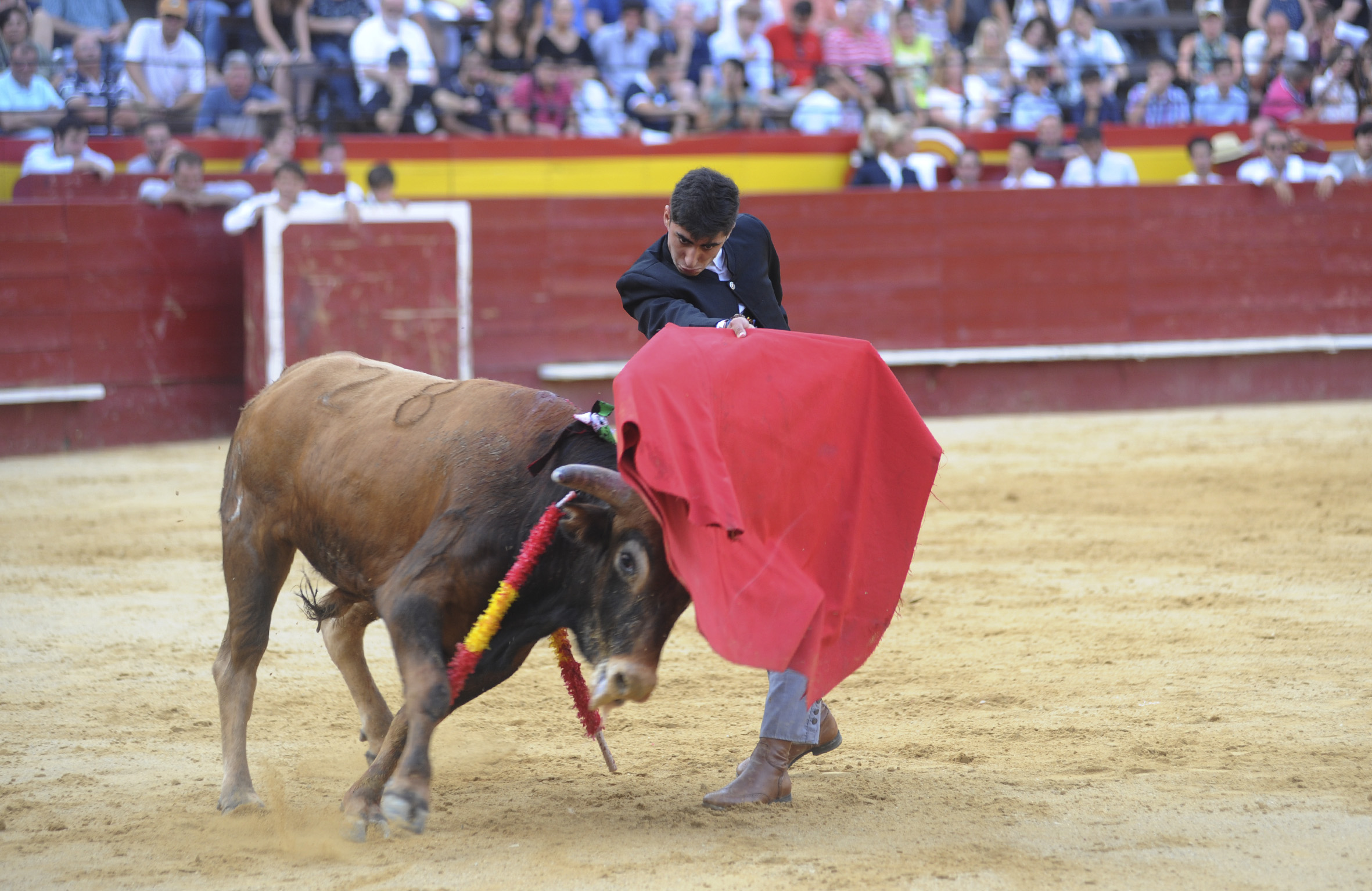 Valencia, sábado 13 de julio de 2019. I Clase práctica