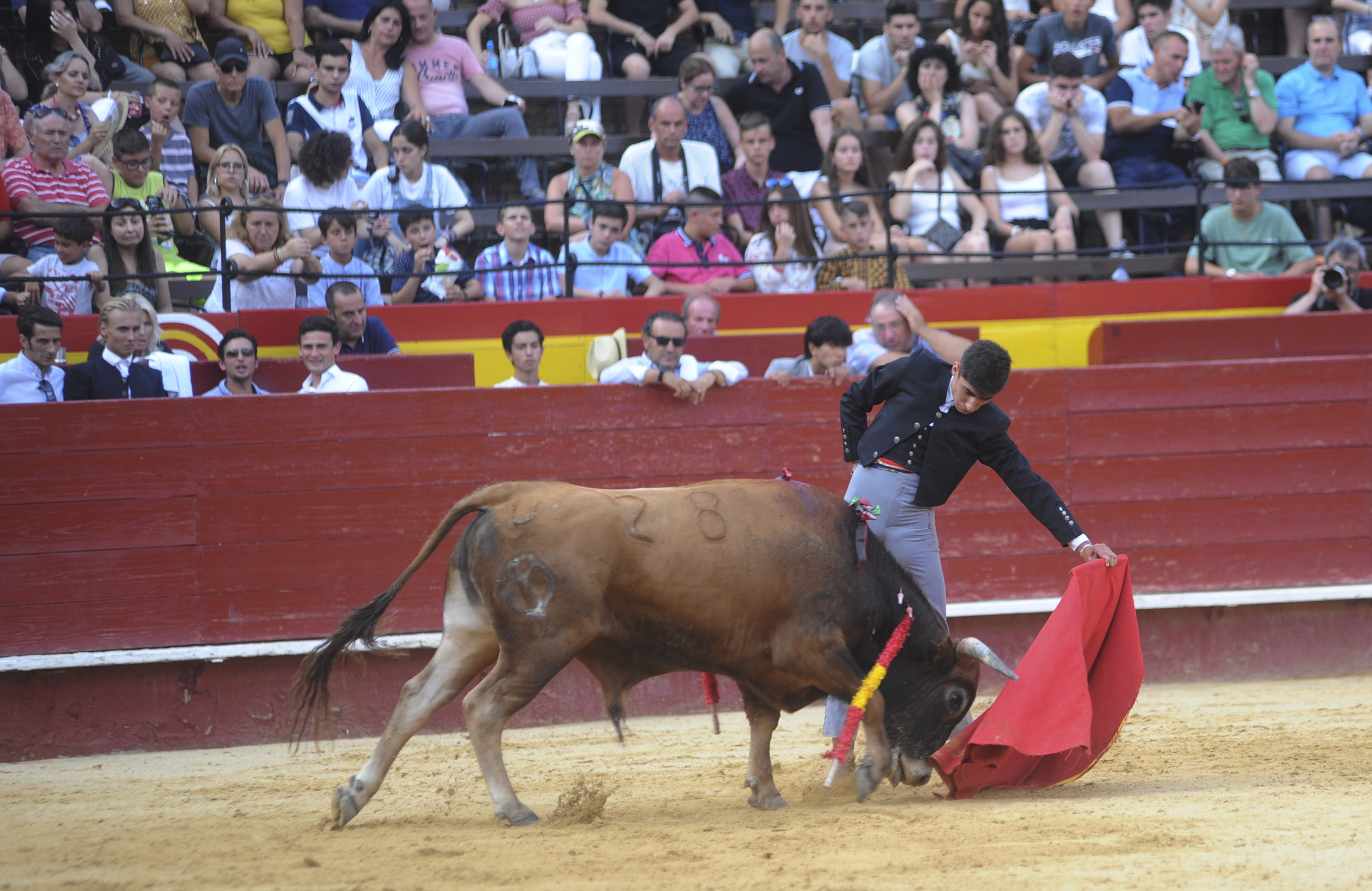 Valencia, sábado 13 de julio de 2019. I Clase práctica