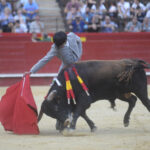 Valencia, sábado 13 de julio de 2019. I Clase práctica