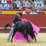 Valencia, domingo 14 de julio de 2019. Certamen de clases prácticas