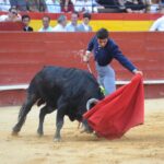 Valencia, domingo 14 de julio de 2019. Certamen de clases prácticas