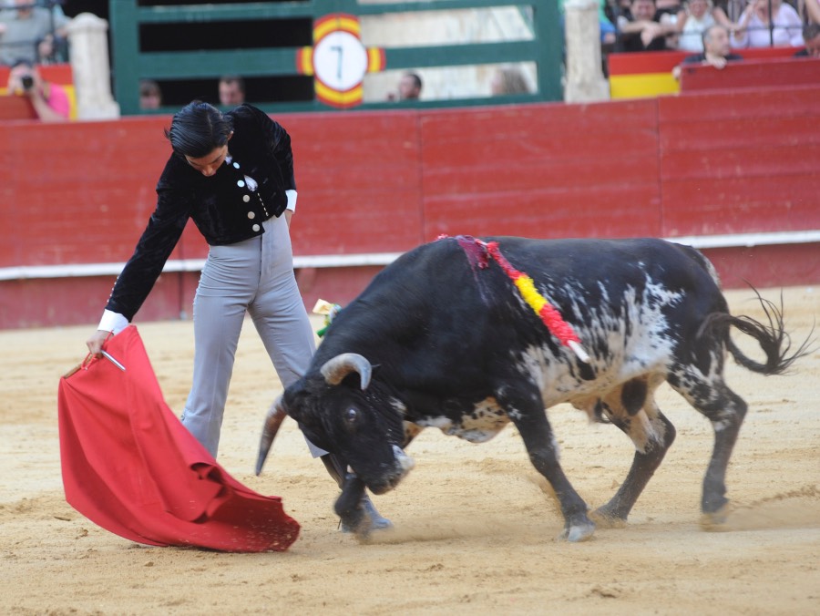 Valencia, domingo 14 de julio de 2019. Certamen de clases prácticas