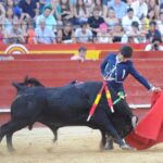 Valencia, domingo 14 de julio de 2019. Certamen de clases prácticas
