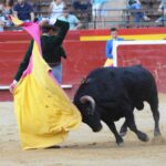 Valencia, domingo 14 de julio de 2019. Certamen de clases prácticas