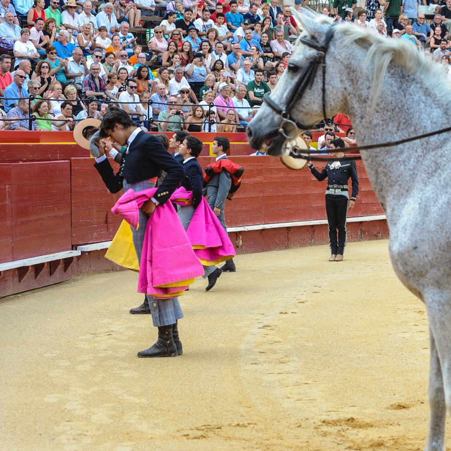Valencia, sábado 20 de julio de 2019. Certamen de Escuelas Taurinas